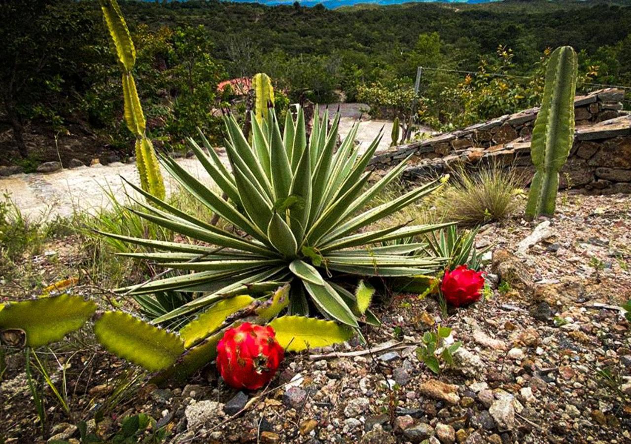 Villa Destino & Hot Springs - Lujoso En Provincia Guanacaste, San Bernando De Bagaces, *